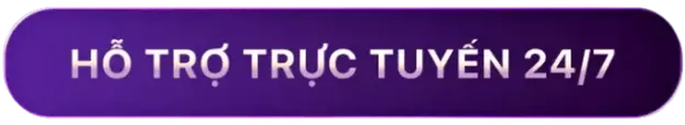 hỗ trợ trực tuyến 247