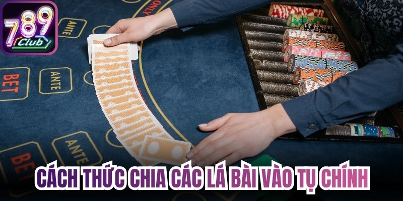 Cách thức chia các lá bài vào tụ chính