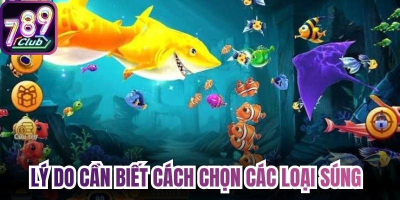Lý do cần biết cách chọn các loại súng bắn cá 789Club