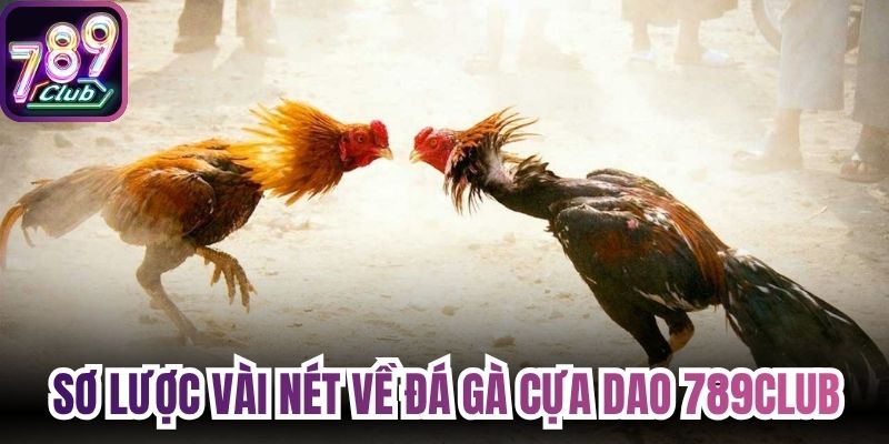 Sơ lược vài nét về đá gà cựa dao 789Club