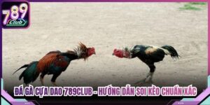 Đá Gà Cựa Dao 789Club - Hướng Dẫn Soi Kèo Chuẩn Xác