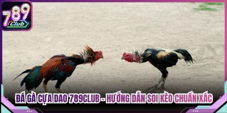 Đá Gà Cựa Dao 789Club - Hướng Dẫn Soi Kèo Chuẩn Xác