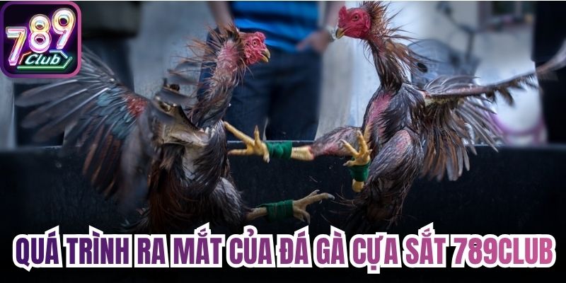 Quá trình ra mắt của đá gà cựa sắt 789Club