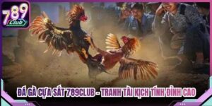 Đá Gà Cựa Sắt 789Club - Tranh Tài Kịch Tính Đỉnh Cao