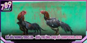 Đá Gà Thomo 789Club - Đấu Trường Chọi Kê Campuchia 2026