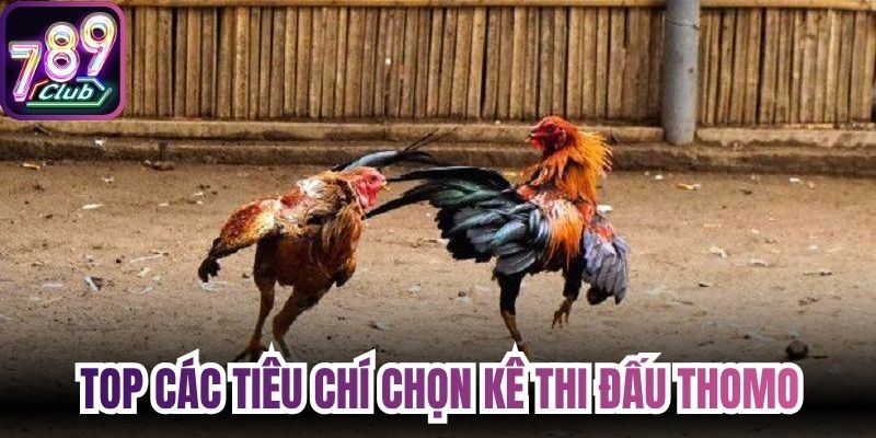 Top các tiêu chí chọn kê thi đấu thomo