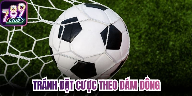 Tránh đặt cược theo đám đông, với rủi ro thua lỗ nặng