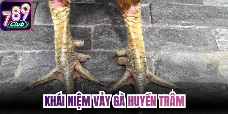 Khái niệm vảy gà huyền trâm